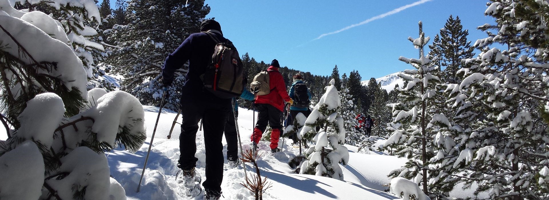 Visiter La forêt du Différend - Occitanie