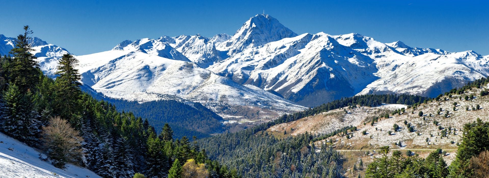 Visiter La forêt de Beyrède - Occitanie