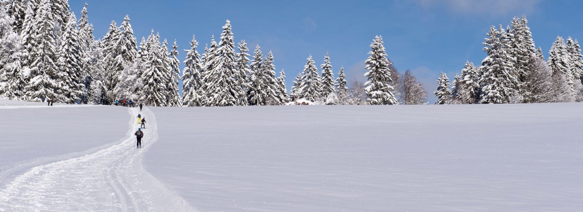 Visiter Biathlon - Occitanie