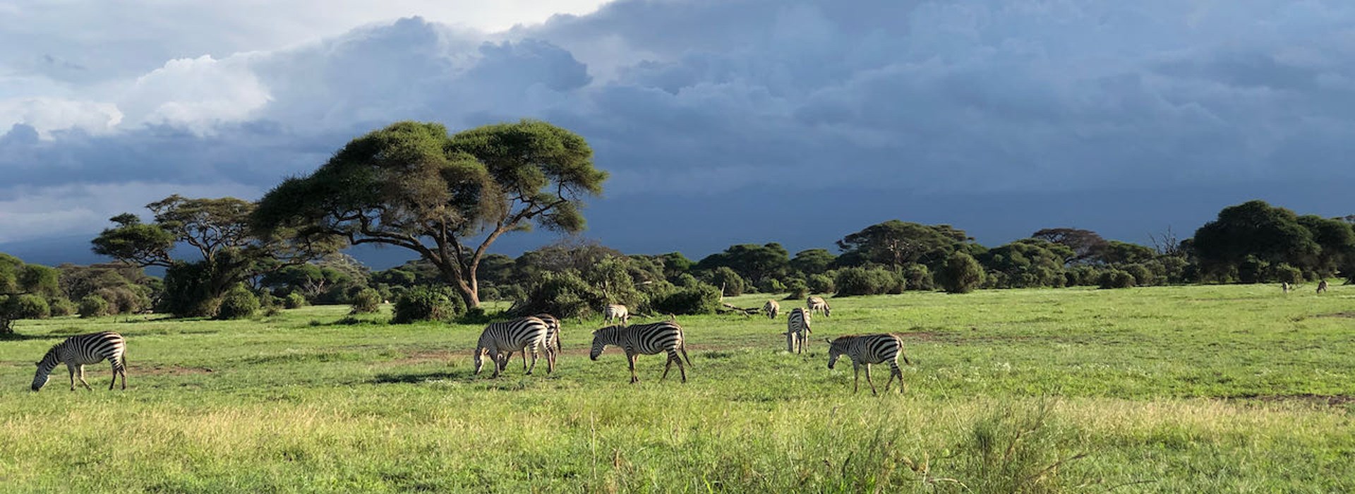 Visiter Le parc national d'Amboseli  - Kenya