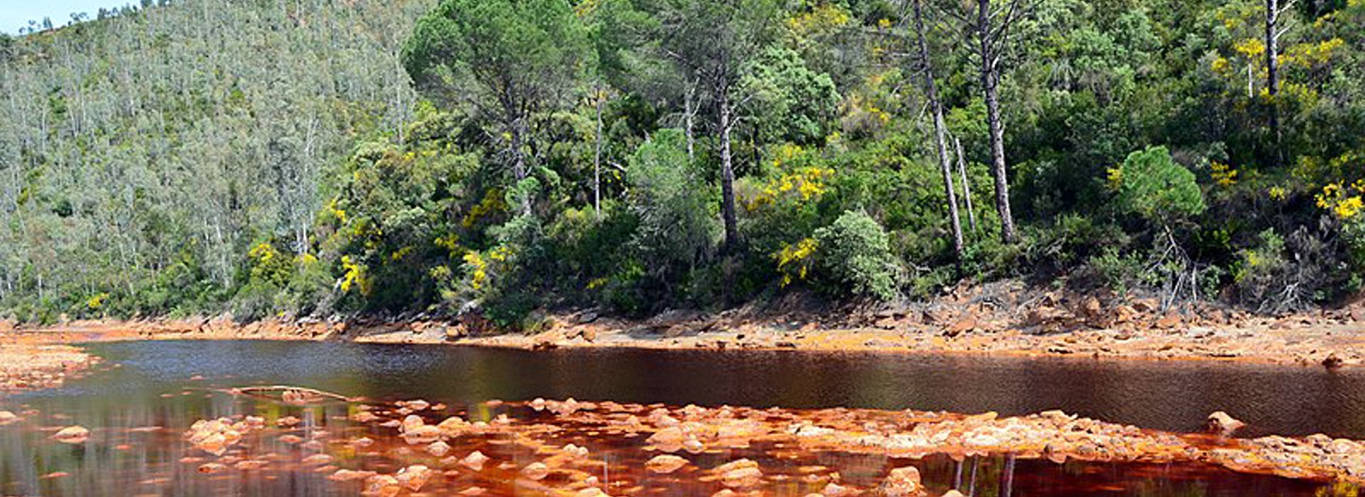 Visiter Le Rio Tinto - Espagne