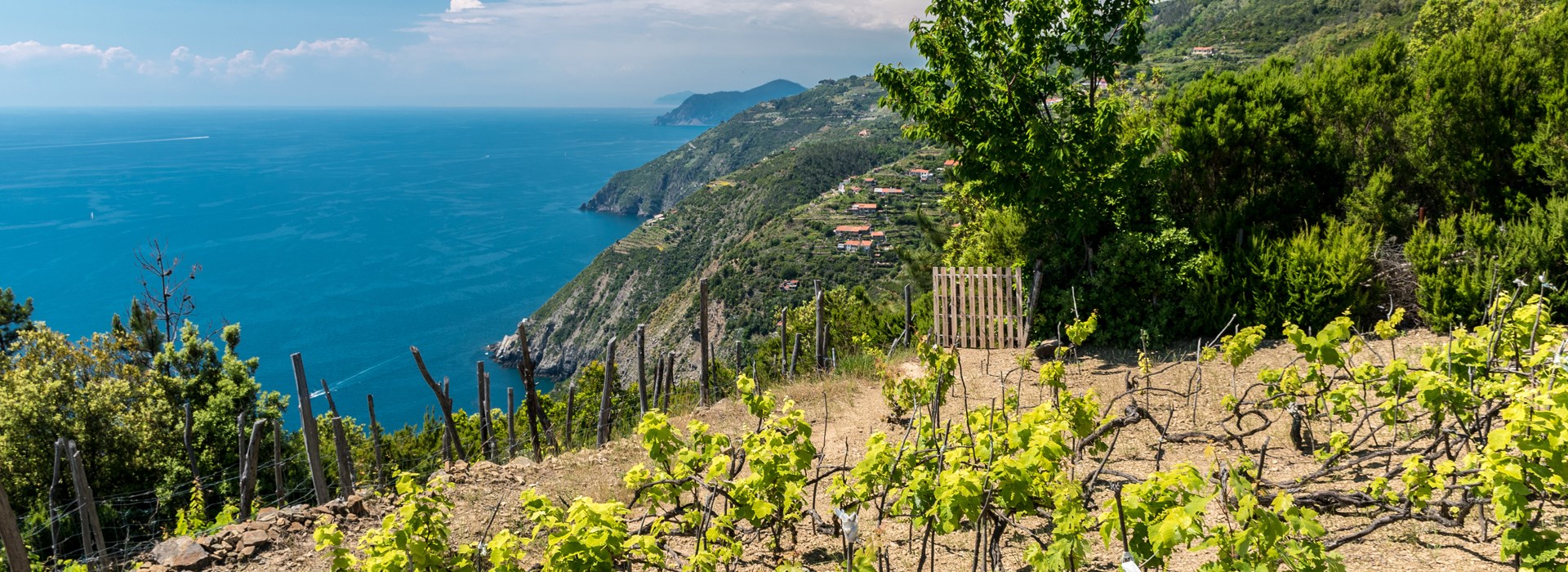 Visiter Campiglia - Italie