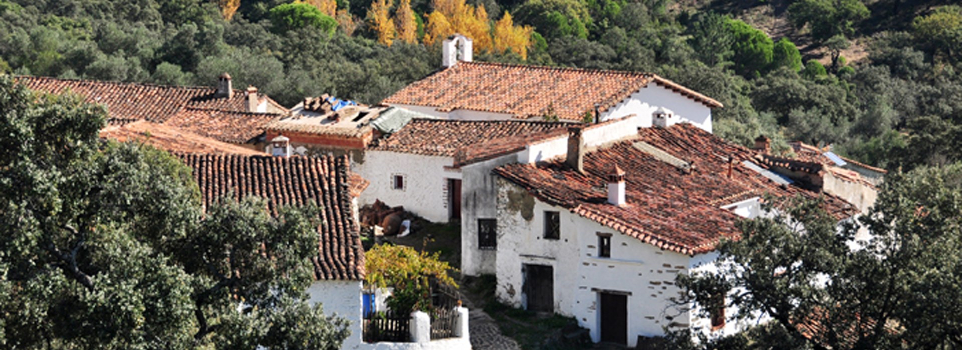 Visiter Los madroñeros  - Espagne