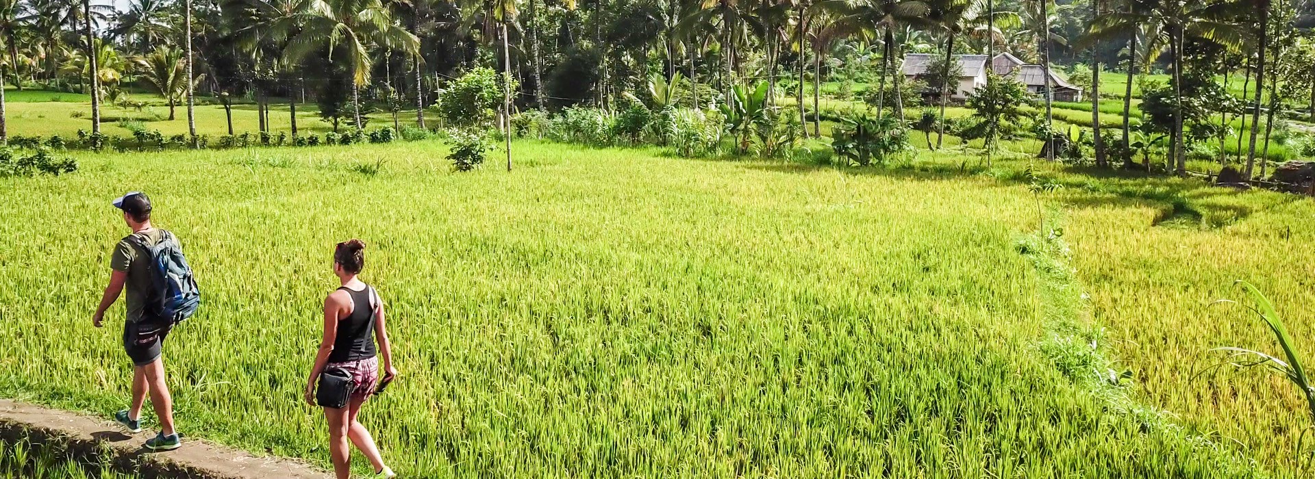 Visiter Tetebatu - Indonesie