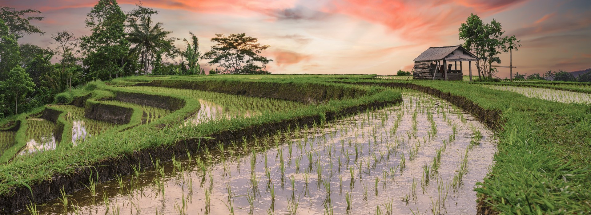 Visiter Carangsari  - Indonesie