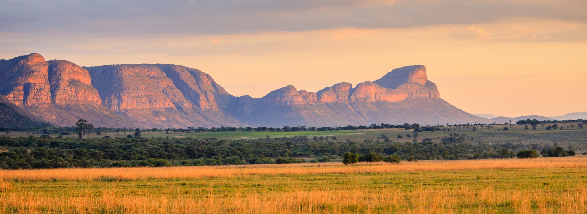Visiter Le Parc National du Waterberg - Namibie