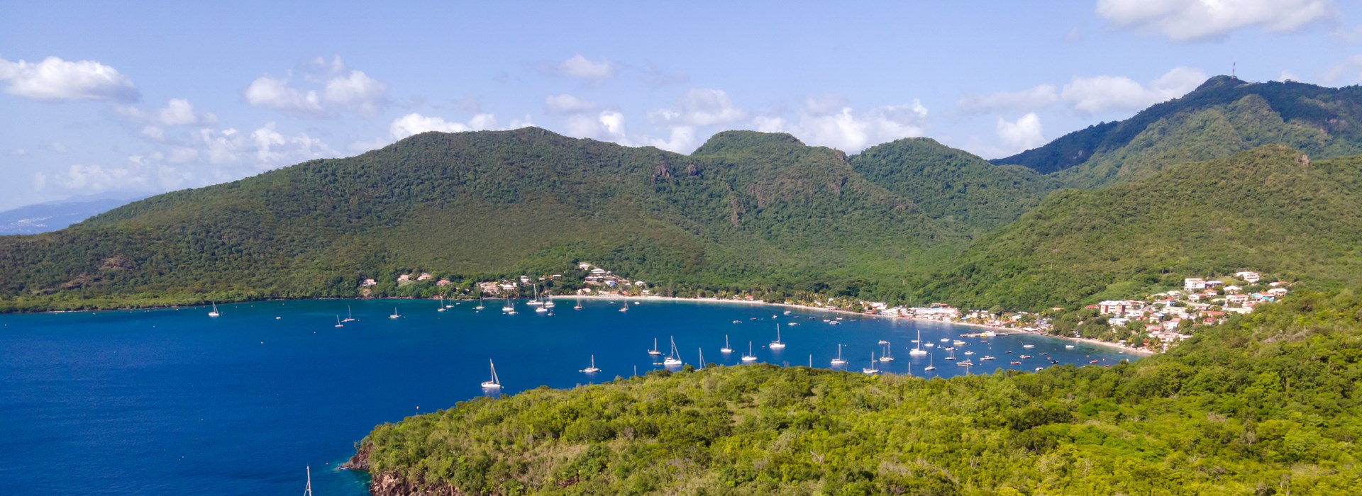 Visiter Grotte aux chauves-souris - Martinique