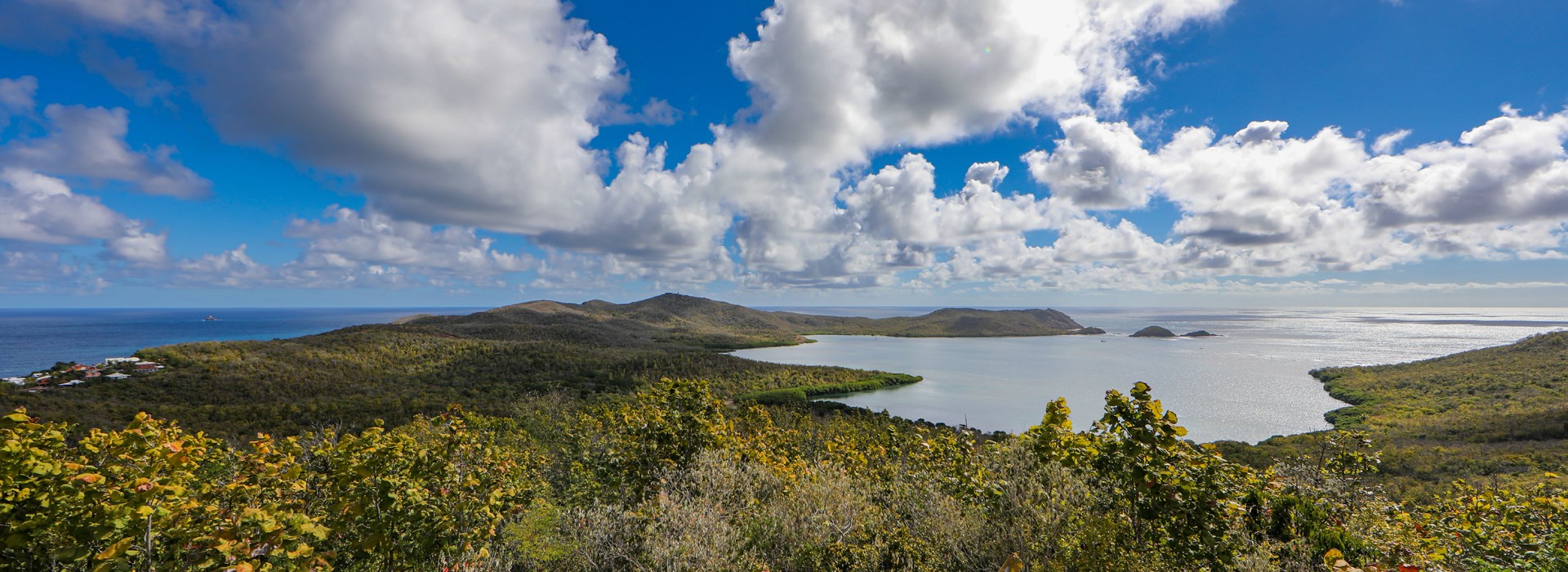 Visiter La réserve naturelle de la Caravelle - Martinique