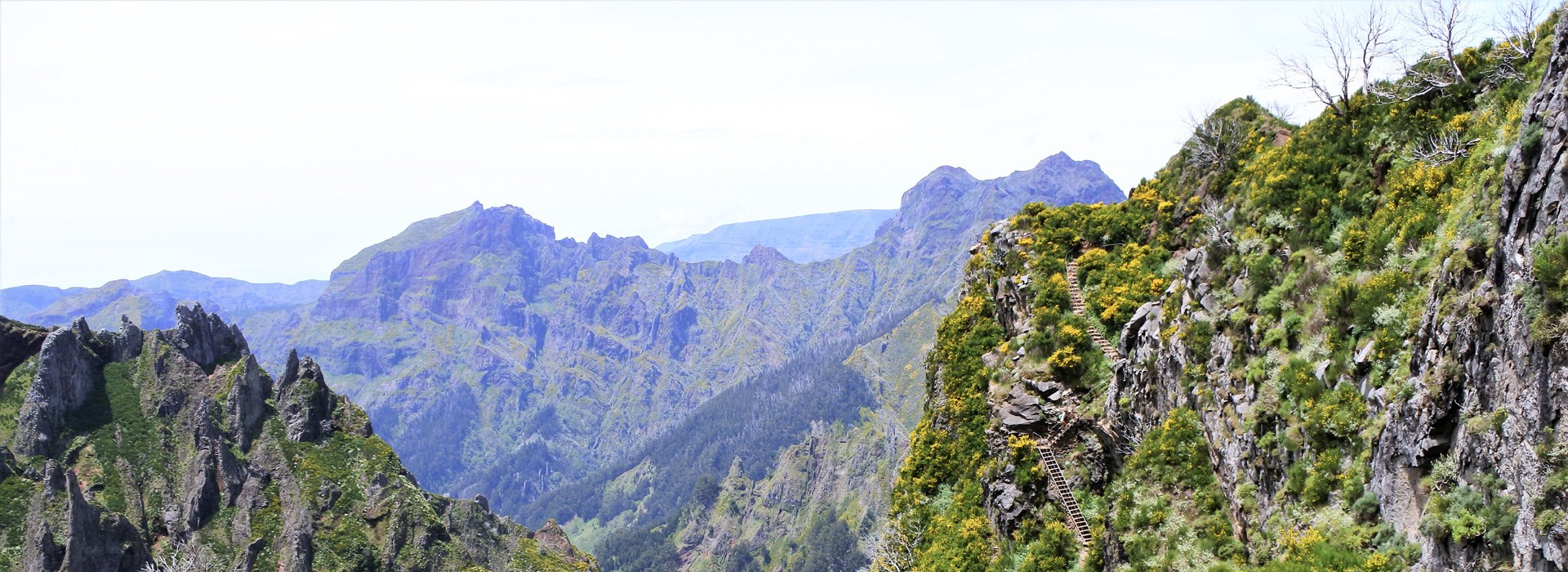 Visiter Le Pico Ruivo  - Madère