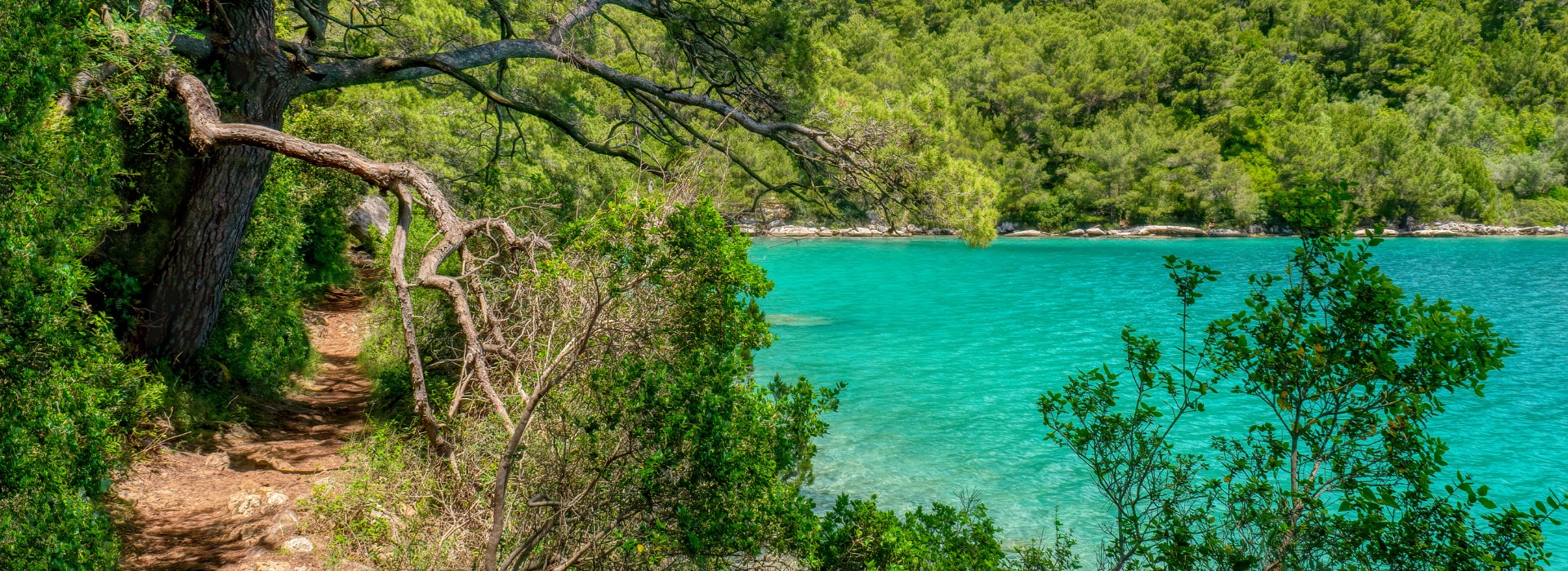 Visiter Le parc national de Mljet - Croatie