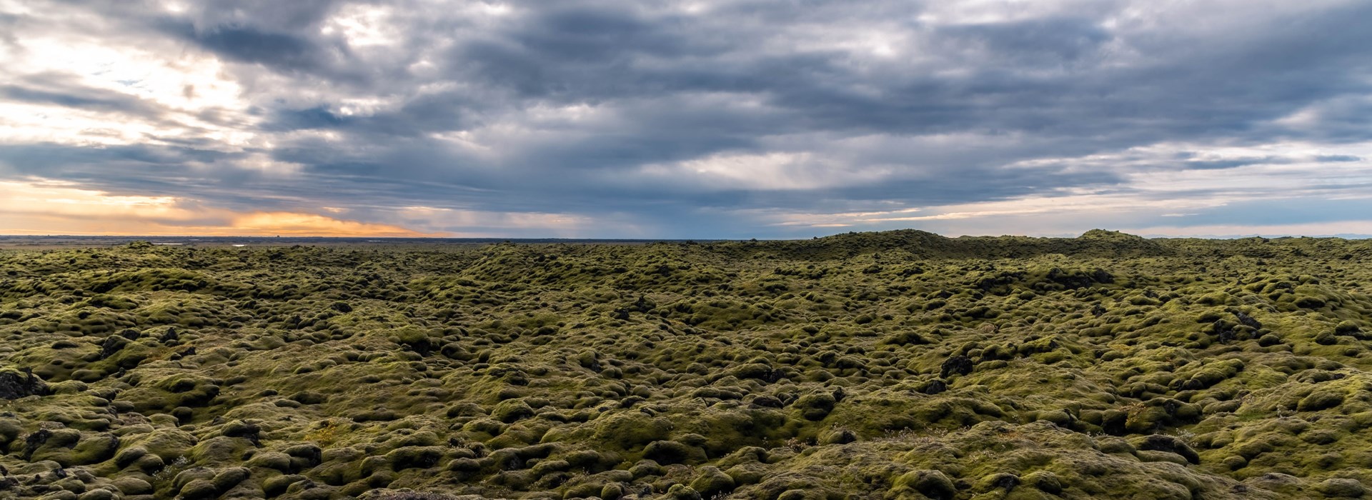 Visiter Le champ de lave d'Eldhraun - Islande