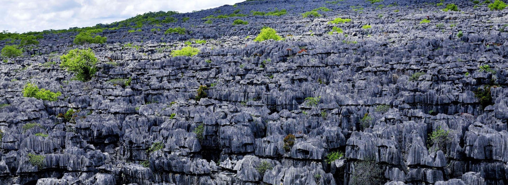 Visiter Le Parc National d'Ankarana - Madagascar