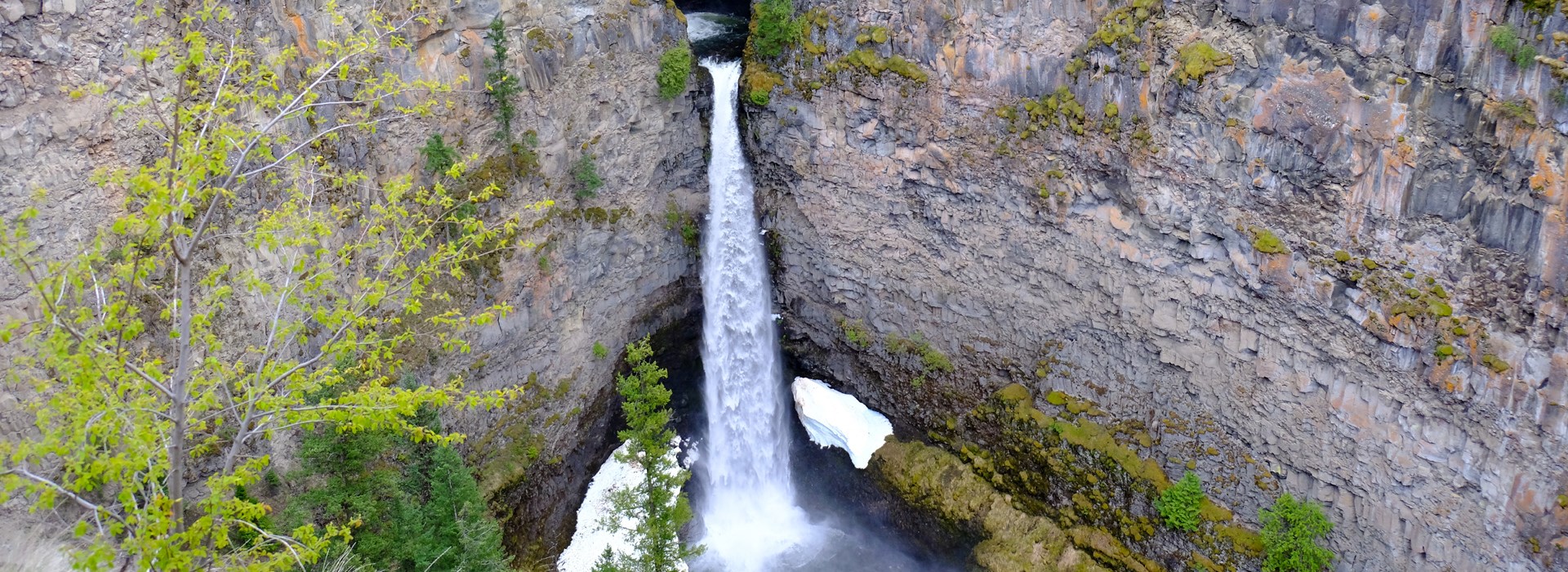 Visiter Le parc Wells Gray  - Canada