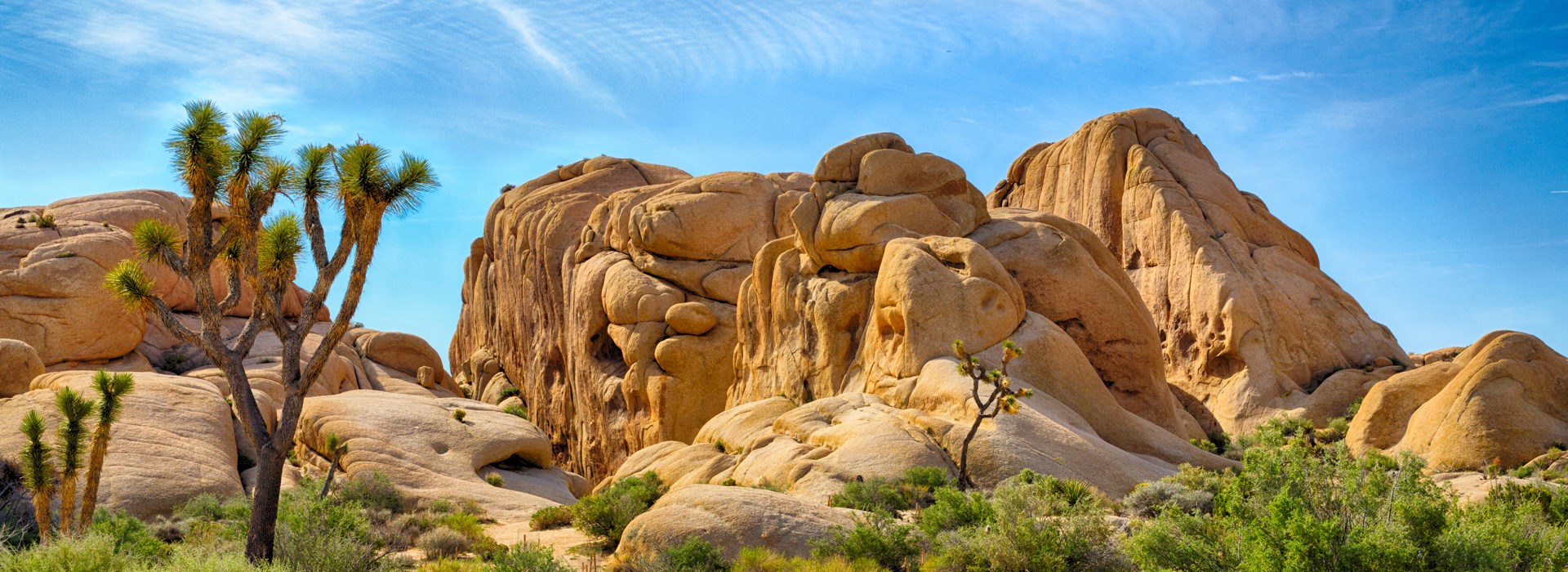 Visiter Le Parc national de Joshua Tree - Etats-Unis