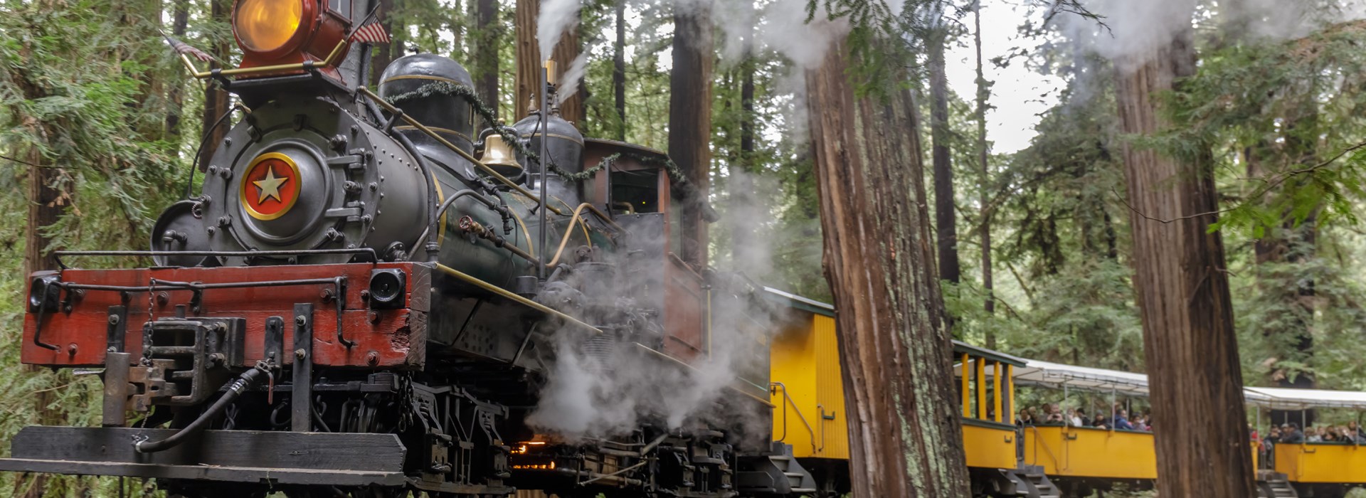 Visiter Le parc d’Etat Henry Cowell Redwoods - Etats-Unis