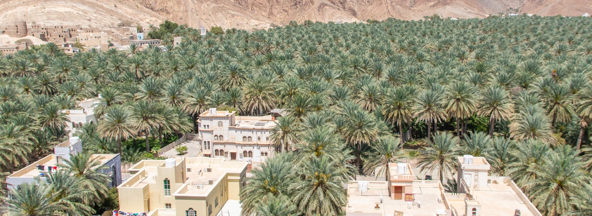 Visiter Birkat Al Mawz - Oman