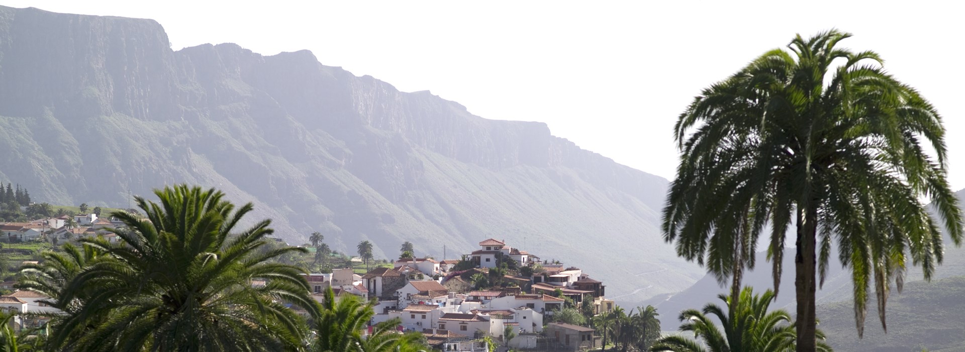 Visiter Les jardins endémiques des îles - Canaries