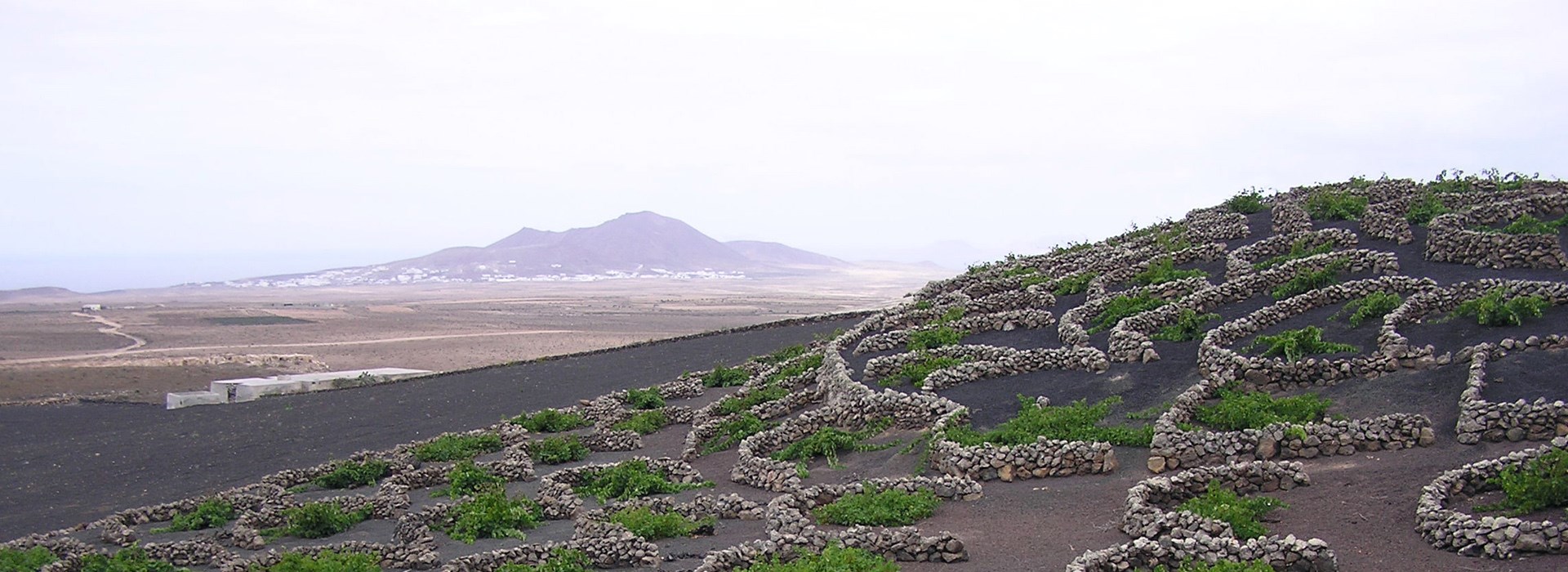 Visiter Les vignobles (Lanzarote) - Canaries