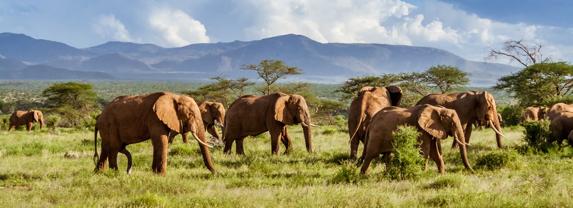 Visiter Le Parc national Kruger - Afrique du Sud