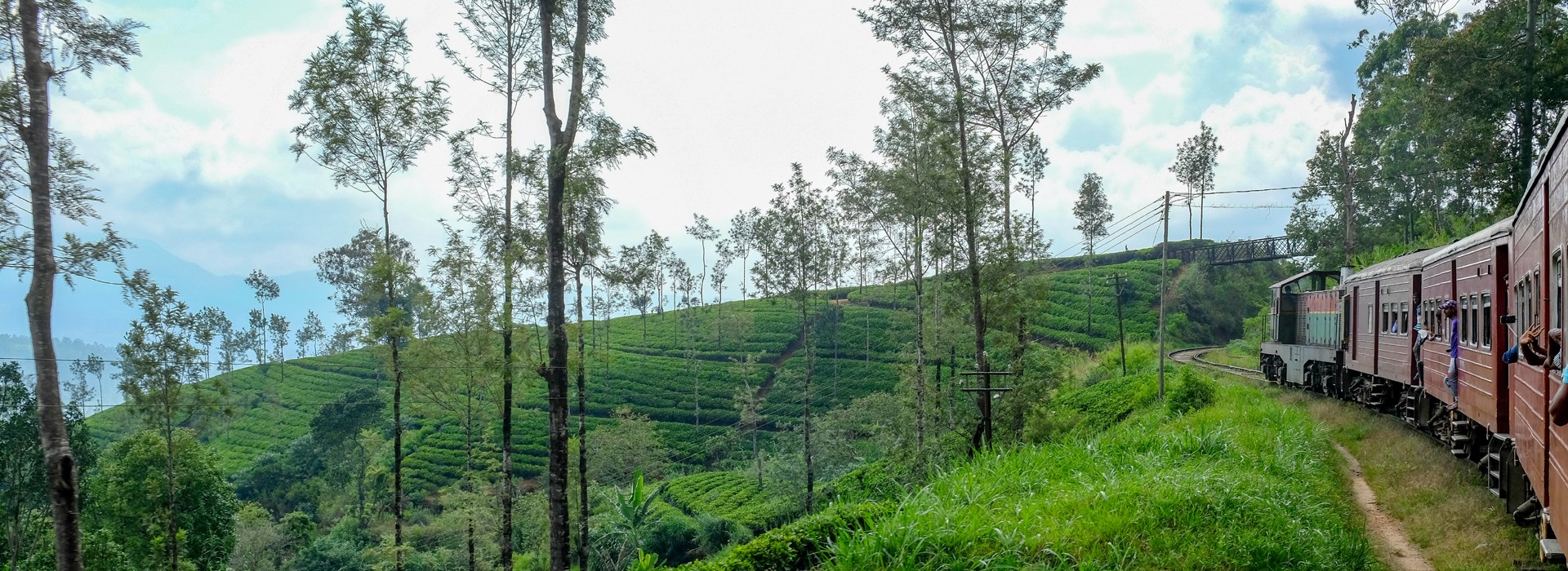 Visiter Ella - Sri Lanka