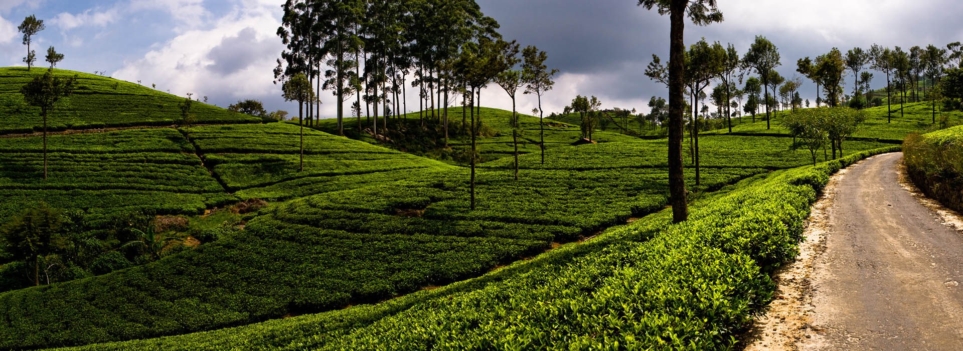 Visiter La réserve naturelle d'Haputale - Sri Lanka