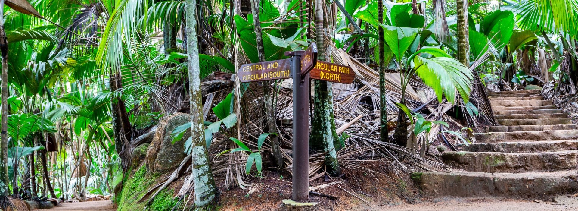 Visiter Le jardin du roi - Seychelles