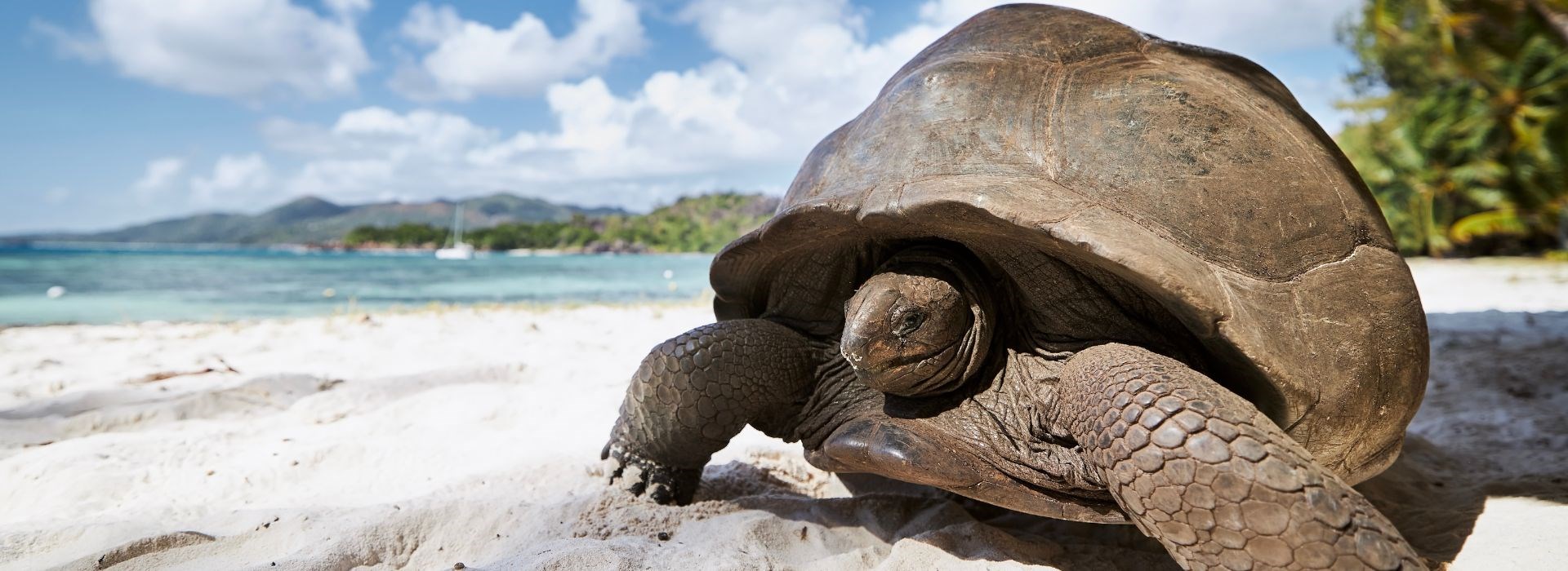 Visiter Le Parc National marin de Sainte Anne - Seychelles