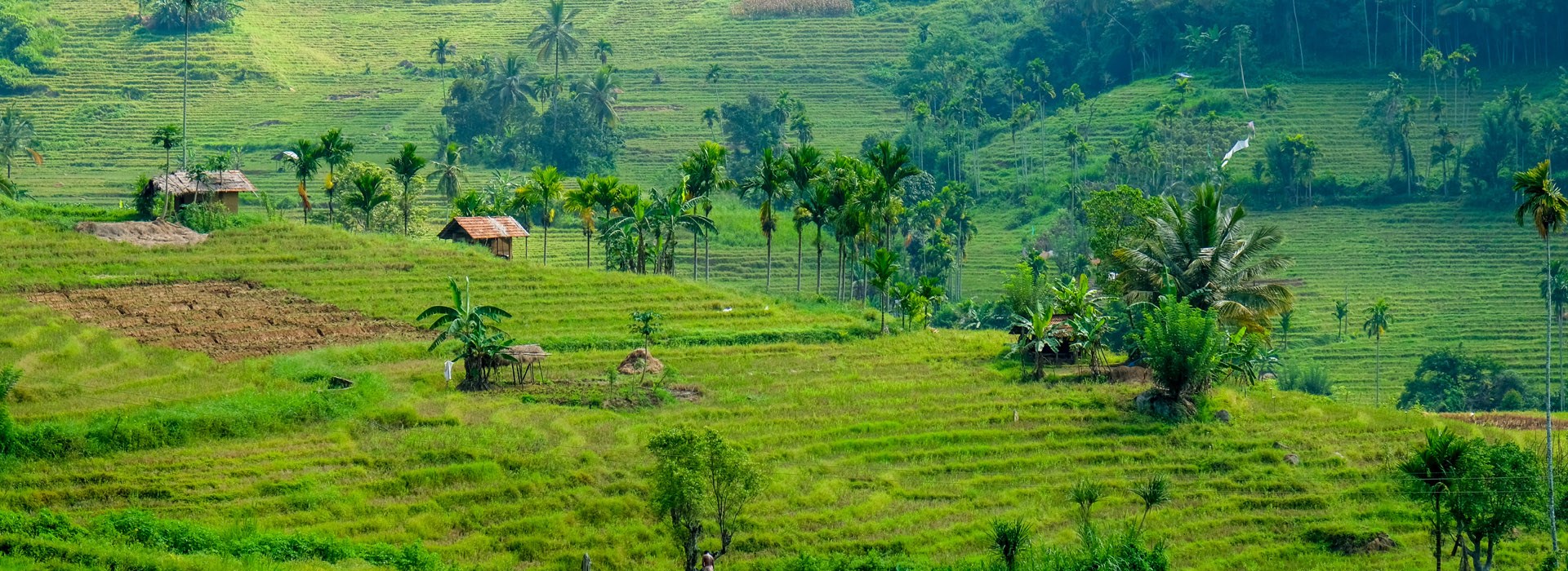 Visiter Les Mont Knuckles - Sri Lanka