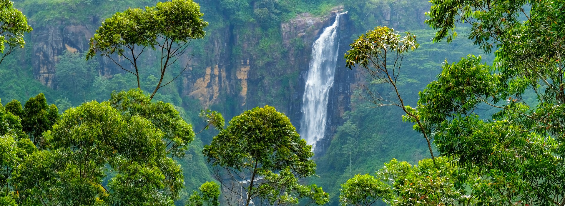 Visiter Nuwara Eliya - Sri Lanka