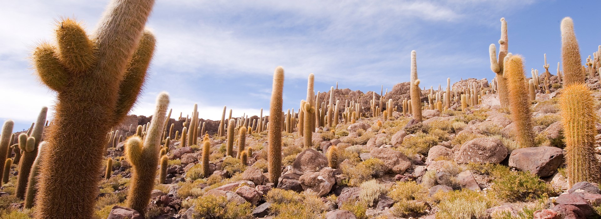 Visiter Guatín - Chili