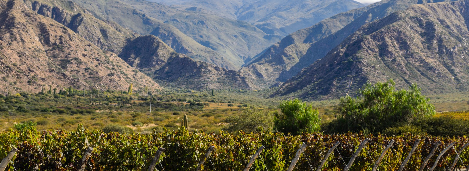 Visiter La route des vins - Argentine
