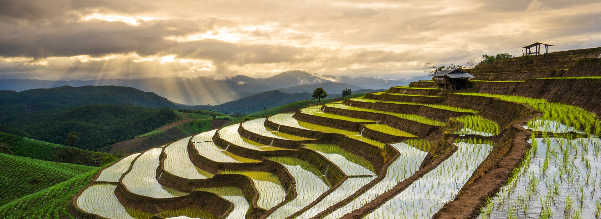 Visiter Chiang Mai - Thaïlande