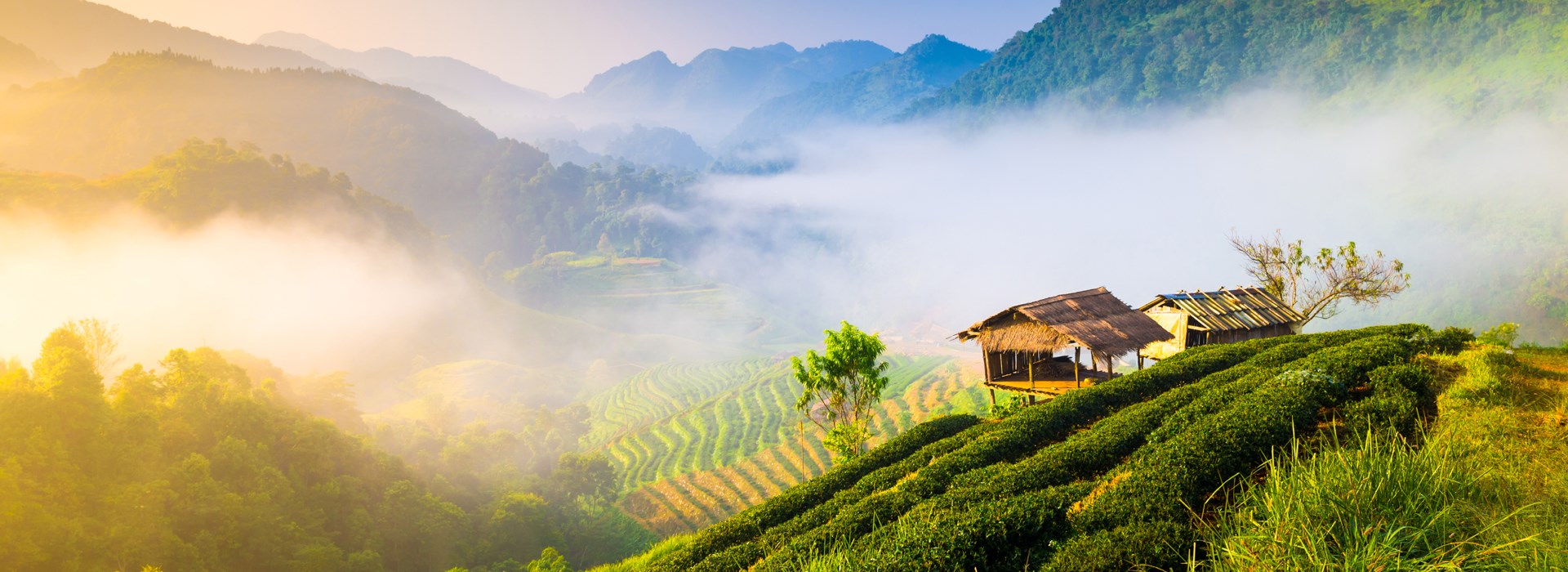 Visiter Le village Karen de Baan Mae Jok - Thaïlande