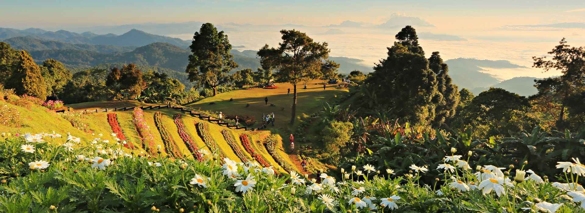 Visiter Le Parc National de Huay Nam Dung - Thaïlande