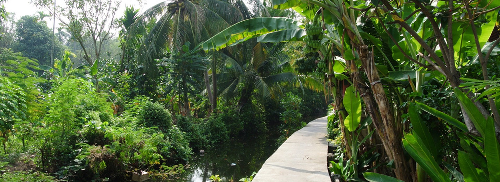 Visiter La presqu'île de Bang Krachao - Thaïlande