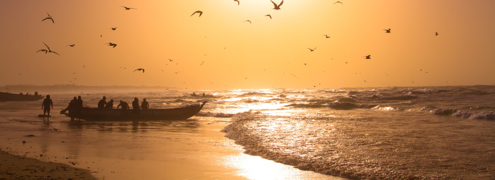Visiter L'île aux oiseaux - Sénégal