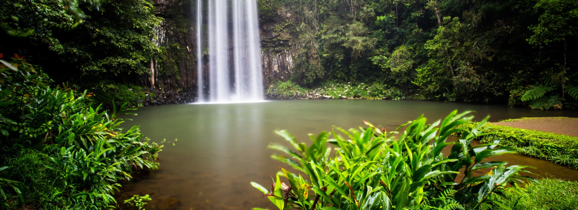 Visiter Le plateau d’Atherton - Australie