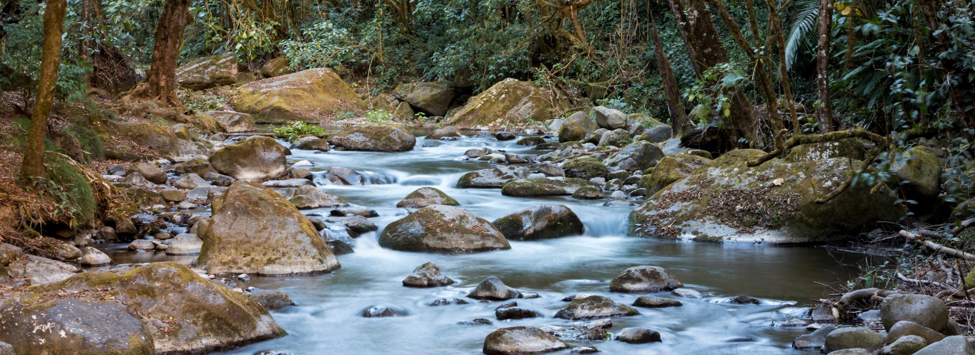 Visiter San Gerardo de Dota - Costa Rica