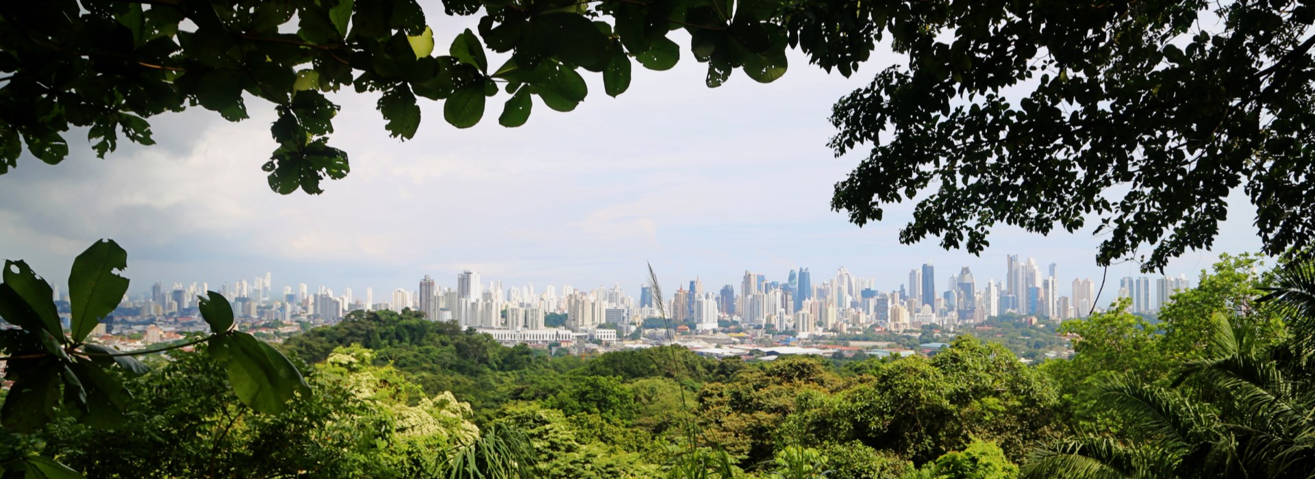 Visiter Le parc naturel Métropolitain - Panama