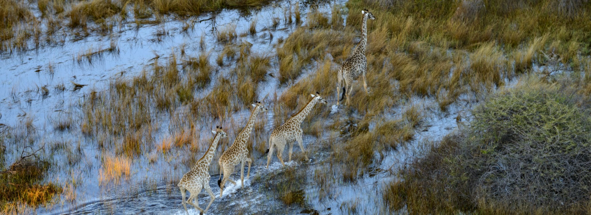 Visiter Le delta de l’Okavango - Botswana