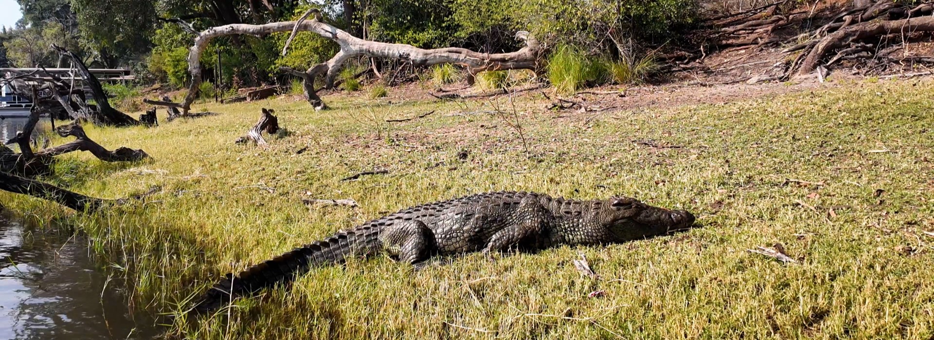 Visiter Kasane - Botswana