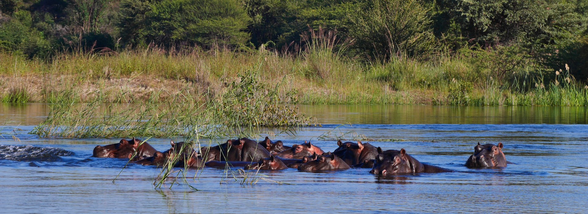 Visiter Divundu - Namibie