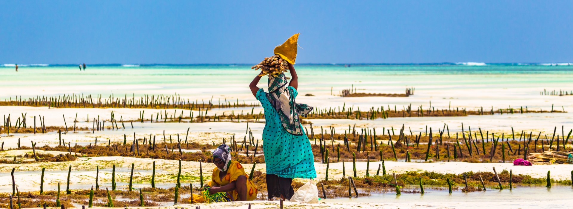 Visiter Les projets communautaires - Zanzibar