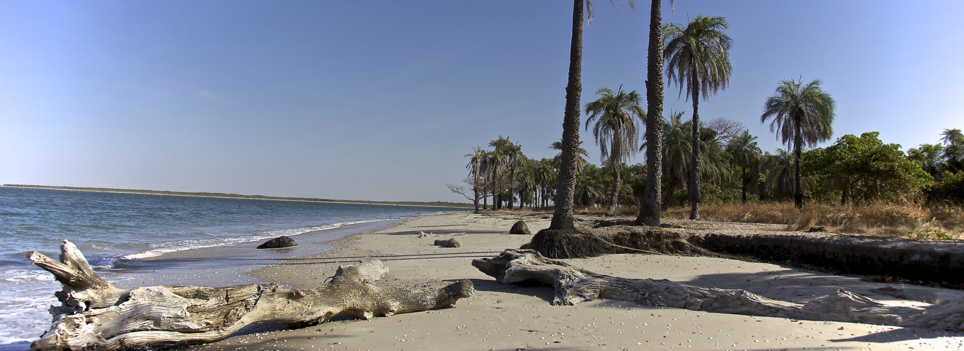 Visiter L'île de Wendaye - Sénégal