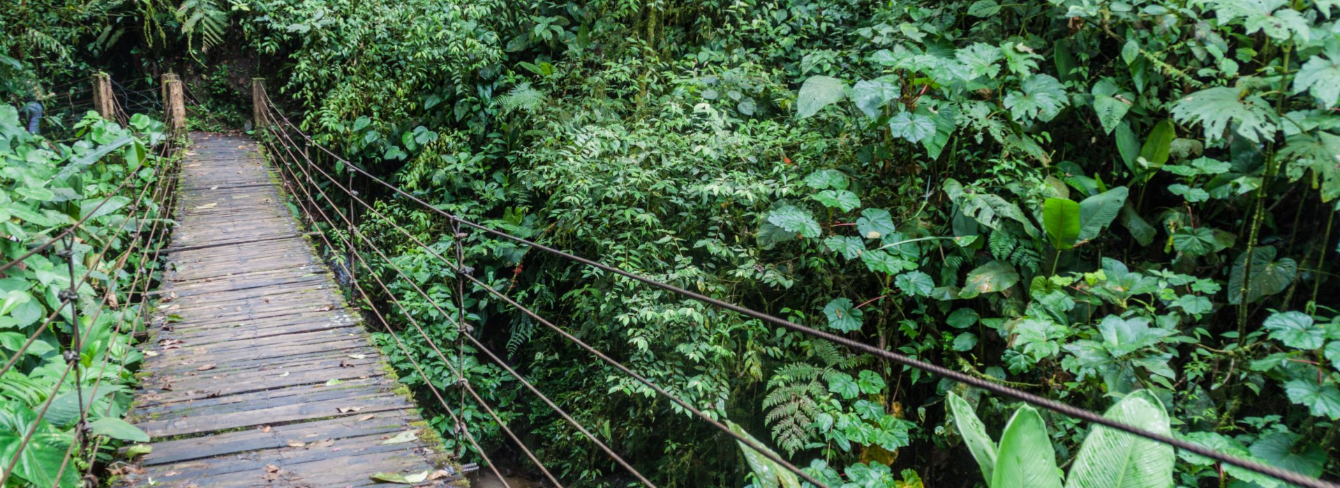 Visiter Mindo - Equateur