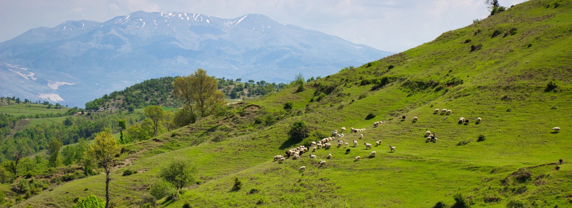 Visiter Gllava - Albanie