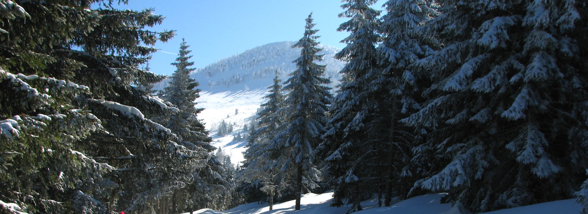 Visiter La ferme de Verden - Rhône-Alpes