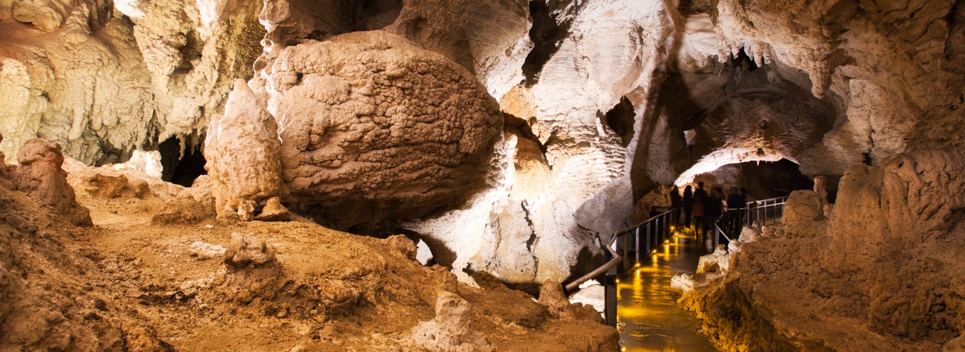 Visiter Waitomo - Nouvelle Zelande