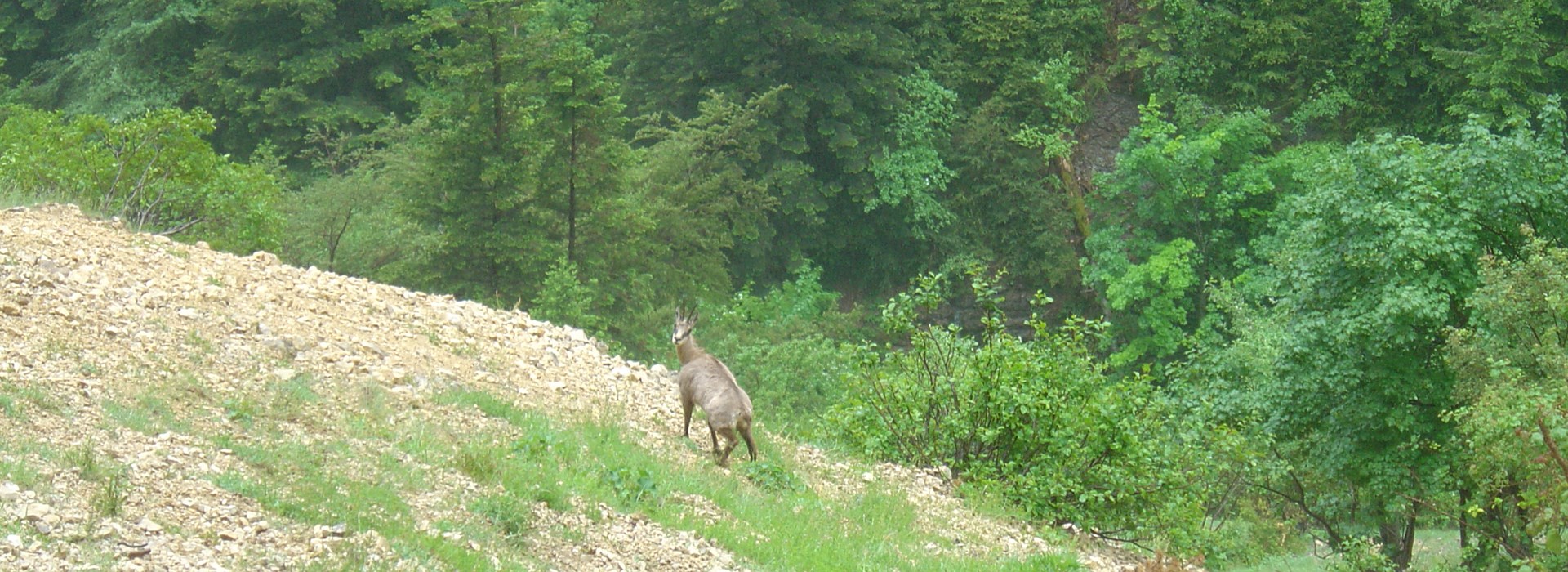 Visiter La rivière de l'Aubaise - Rhône-Alpes