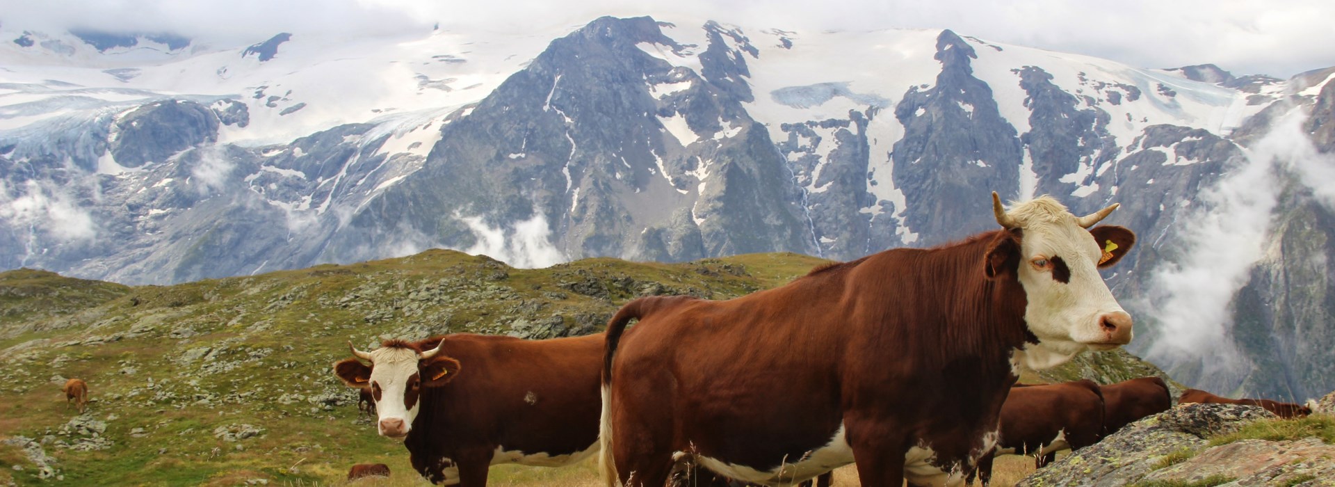 Visiter La vie pastorale en montagne - Rhône-Alpes